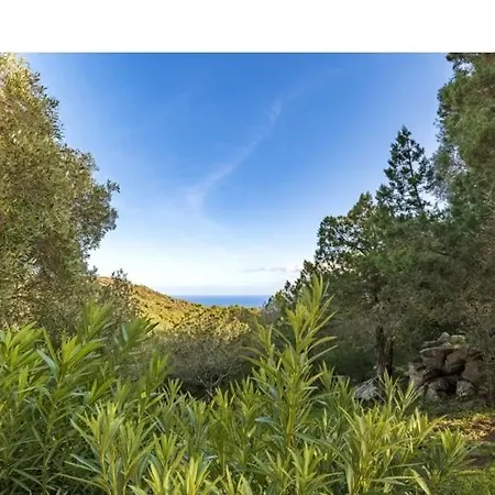 Cala Rossa 45m2 4-5 Pers Rondinara בוניפסיו