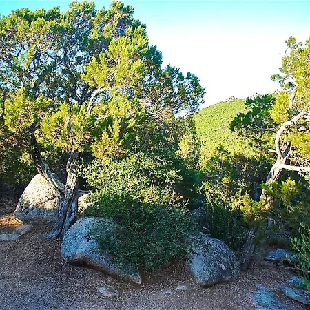 Cala Rossa 45m2 4-5 Pers Rondinara *