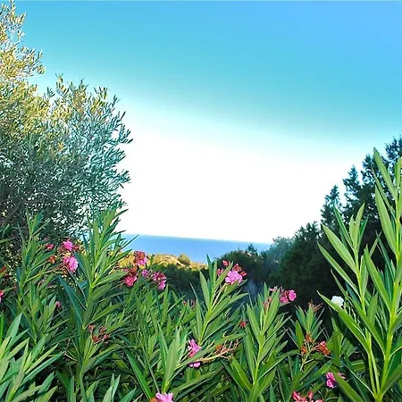 בית נופש Cala Rossa 45m2 4-5 Pers Rondinara