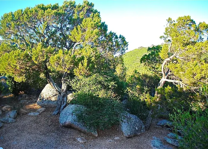 Cala Rossa 45m2 4-5 Pers Rondinara *