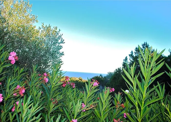 Hébergement de vacances Cala Rossa 45m2 4-5 Pers Rondinara